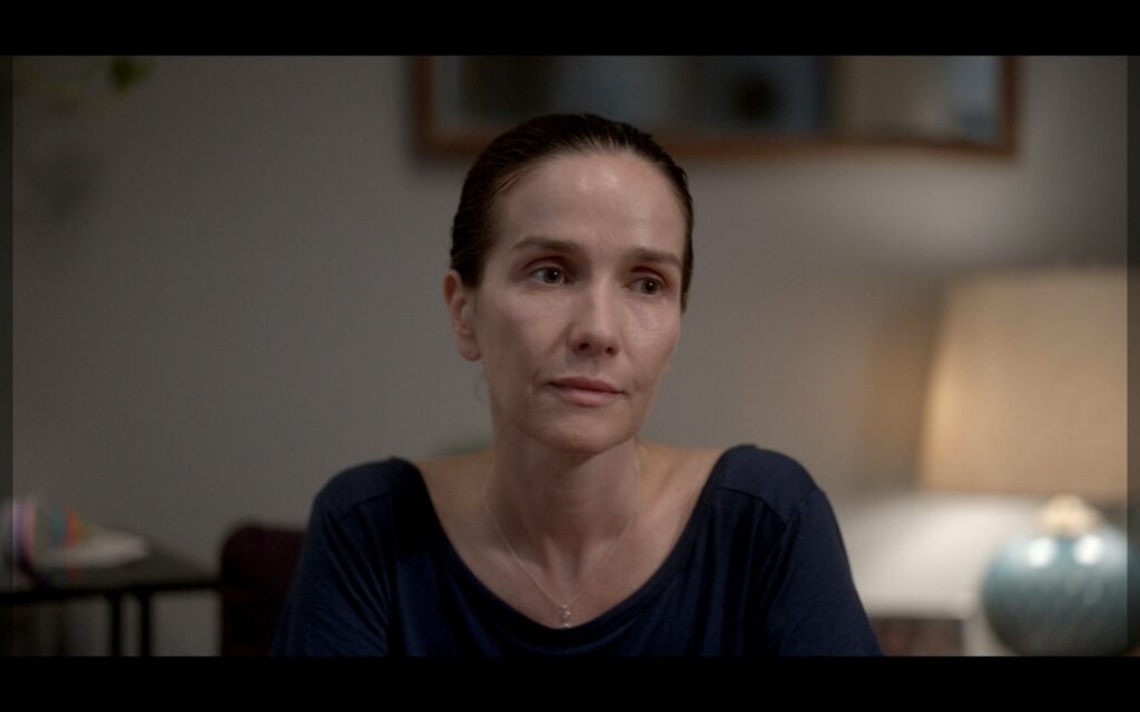 Del 12 al 16 de noviembre